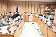 ساماندهی  وضعیت جوجه  ریزی  گامی اساسی در راستای صیانت از صنعت مرغداری استان کردستان 