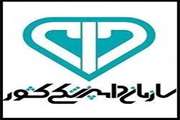 انجام بیش از 8000 بازدید بهداشتی دامپزشکی در ایام تعطیلات نوروزی