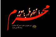 بازدیدهای نظارتی اداره کل دامپزشکی استان درایام تاسوعاوعاشورای حسینی