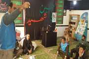 برگزاری کارگاه آموزشی ویژه متصدیان طرح ملی واکسیناسیون طیوربومی در شهرستان سروآباد  