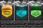 ضبط و معدوم سازی 508 کیلوگرم لاشه و آلایش مرغی توسط شبکه دامپزشکی سقز