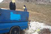کشف و معدوم سازی ۶ تن مواد اولیه خوراک دام در شهرستان دیواندره 