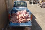 شناسایی کارگاه غیر مجاز و غیر بهداشتی قطعه بندی مرغ در سنندج