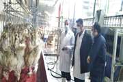  استقرار تمام وقت بازرسان ستادی دامپزشکی کردستان در کشتارگاه های طیور تا اطلاع ثانوی