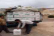 توقیف محموله ی 4200 کیلو گرمی تخم مرغ بدون هویت و فاقد مجوز در کردستان 