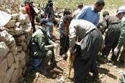 بیش از 440 هزار راس دام سبک در کردستان علیه بیماری طاعون نشخوار کنندگان کوچک واکسینه شد