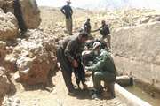 کنترل کامل بیماری طاعون نشخوار کنندگان کوچک در کردستان 