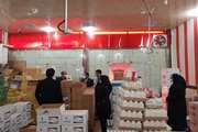 سفر مدیر کل دفتر دارو  و درمان سازمان دامپزشکی کشور به کردستان