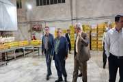 بازدید سرپرست فرمانداری بانه از کشتارگاه  طیور شاهین پر غرب