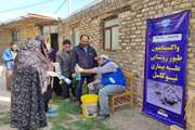 بیش  296 هزار قطعه طیور بومی علیه بیماری نیوکاسل واکسینه شد