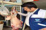 کشف و ضبط دو لاشه گوسفند حاصل از کشتار غیر مجاز و غیر بهداشتی