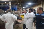 بازدید سرزده مدیرکل دامپزشکی استان از کشتارگاه مرغ سنندج