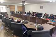 تشکیل جلسه با بخشدار و دهیاران روستاهای تابعه بخش زیویه شهرستان سقز با محوریت مقابله با بیماری آنفلوآنزای فوق حاد پرندگان و تب برفکی
