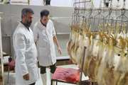 بازدید سرزده مسئول دفتر نمایندگی ولی فقیه در دامپزشکی کردستان از کشتارگاه طیور شهرستان دهگلان