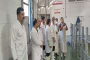 بازدید مدیر کل دامپزشکی استان کردستان و هیات همراه از کشتارگاه صنعتی دام سنندج