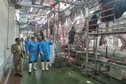بازدید اعضای کارگروه ساماندهی کشتارگاه‌های دام استان کردستان از کشتارگاه صنعتی دام سنندج