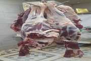 کشف و ضبط لاشه حاصل از کشتار غیرمجاز دام در شهرستان قروه 