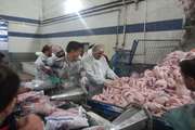 بازدید مدیر کل دامپزشکی استان کردستان و رئیس اداره نظارت بر بهداشت عمومی و مواد غذائی اداره کل از کشتارگاه مرغ زریوار مریوان از ساعت ۲۰ الی ۳ بامداد
