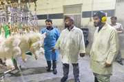 بازدید مسئول دفتر نمایندگی ولی فقیه در دامپزشکی استان کردستان به همراه مسئول حوزه شهرستان بیجار از کشتارگاه صنعتی طیور شهرستان بیجار 