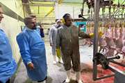 بازدید مسئول دفتر نمایندگی ولی‌فقیه در دامپزشکی استان کردستان و رئیس شبکه دامپزشکی بیجار از کشتارگاه طیور شهرستان بیجار
