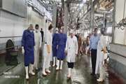 بازدید مدیرکل دامپزشکی استان، معاونت سلامت و رئیس اداره نظارت بر بهداشت عمومی و مواد غذایی دامپزشکی از کشتارگاه صنعتی دام سنندج