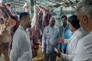 بازدید مدیرکل دامپزشکی استان کردستان و هیئت همراه از کشتارگاه دام شهرستان بانه