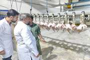 بازدید مسئول دفتر نمایندگی ولی فقیه در دامپزشکی استان از کشتارگاه طیور شهرستان قروه