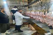 بازدید مسئول دفتر نمایندگی ولی فقیه در دامپزشکی استان کردستان از کشتارگاه طیور سقز