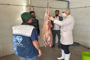 نظارت بهداشتی کارشناسان شبکه دامپزشکی شهرستان قروه بر روند ذبح و قربانی دام در عید سعید قربان