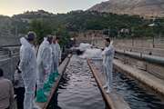 پایش مزارع پرورش ماهی کردستان در طرح ملی مقابله با بیماری‌های باکتریایی