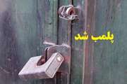پلمب دو واحد مرغداری بدون پروانه بهداشتی در کامیاران