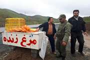 پلمپ یک واحد مرغداری غیرمجاز در شهرستان کامیاران