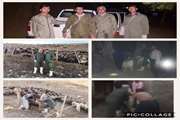 پایان عملیات مایه کوبی بر علیه بیماری طاعون نشخوار کنندگان کوچک در شهرستان بانه 