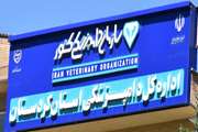 گران فروشی 250 میلیون ریالی شرکت پخش سراسری واکسن در سطح استان کردستان