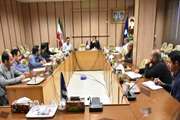 برگزاری  جلسه ستاد استانی طرح رصد و پایش دارو، واکسن تامین تا توزیع  در دامپزشکی کردستان