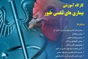 برگزاری کارگاه آموزشی تشخیص و کنترل بیماری های تنفسی طیور ویژه دامپزشکان در دامپزشکی کردستان