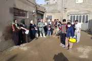آغاز مرحله دوم عملیات واکسیناسیون  نیوکاسل طیور بومی در کردستان