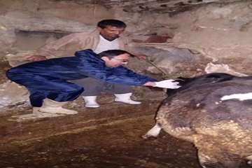 واکسیناسیون 2 