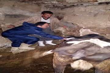 آلبوم تصاویر بانه