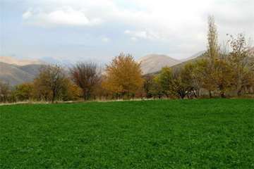 کوه آربابا