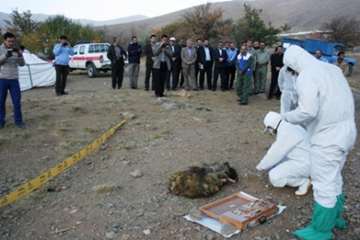 اجرای مانور عملیاتی مقابله با حمله بیوتروریستی با بیماری شاربن