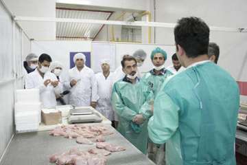 بازدیدسرزده جمعی از خبرنگاران وعکاسان رسانه های ارتباط جمعی از کشتارگاه صنعتی مرغ بالداران زاگرس 