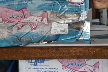 گزارش کشف، ضبط بیش 4 تن ماهی تاریخ منقضی و در حین تغیبر تاریخ مصرف به 6 ماه بعد در سنندج