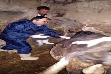 آلبوم تصاویر بانه