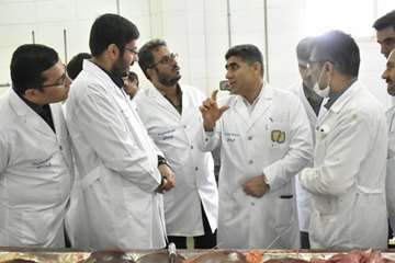 بازدید سر زده مدیر کل تعزیرات حکومتی کردستان از کشتارگاه صنعتی دام سنندج-فروردین 97