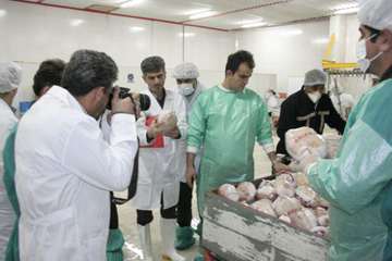 بازدیدسرزده جمعی از خبرنگاران وعکاسان رسانه های ارتباط جمعی از کشتارگاه صنعتی مرغ بالداران زاگرس 