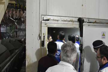 بازدید 