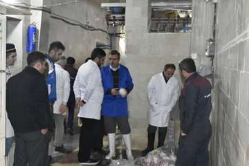 بازدید 