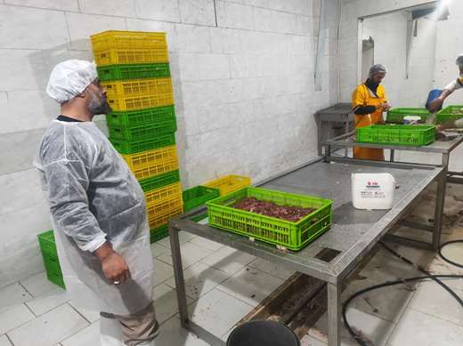 بازدید مسئول دفتر نمایندگی ولی‌فقیه در دامپزشکی استان از کشتارگاه طیور شهرستان قروه