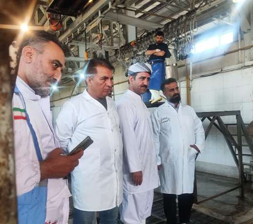 بازدید حجت‌الاسلام زینال‌زاده و حجت‌الاسلام تقوی، بازرسان حوزه نمایندگی ولی‌فقیه در سازمان دامپزشکی کشور، به همراه مسئول دفتر نمایندگی ولی‌فقیه در اداره‌کل دامپزشکی استان کردستان از کشتارگاه دام شهرستان سقز